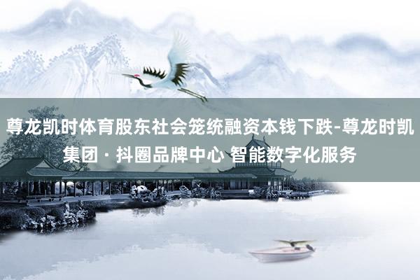 尊龙凯时体育股东社会笼统融资本钱下跌-尊龙时凯集团 · 抖圈品牌中心 智能数字化服务