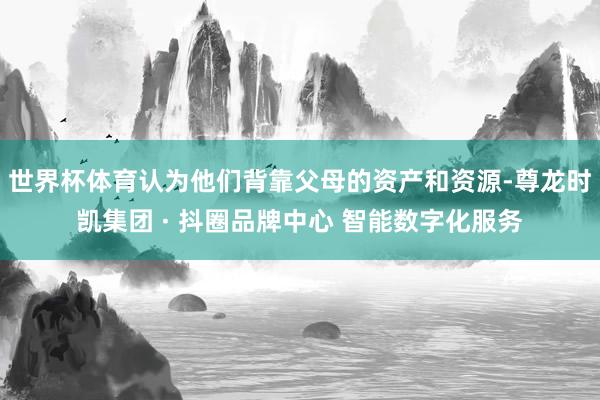 世界杯体育认为他们背靠父母的资产和资源-尊龙时凯集团 · 抖圈品牌中心 智能数字化服务