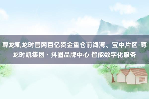 尊龙凯龙时官网百亿资金重仓前海湾、宝中片区-尊龙时凯集团 · 抖圈品牌中心 智能数字化服务