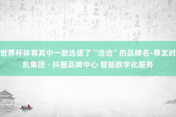 世界杯体育其中一款选拔了“洽洽”的品牌名-尊龙时凯集团 · 抖圈品牌中心 智能数字化服务