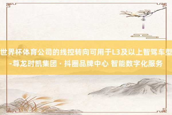 世界杯体育公司的线控转向可用于L3及以上智驾车型-尊龙时凯集团 · 抖圈品牌中心 智能数字化服务
