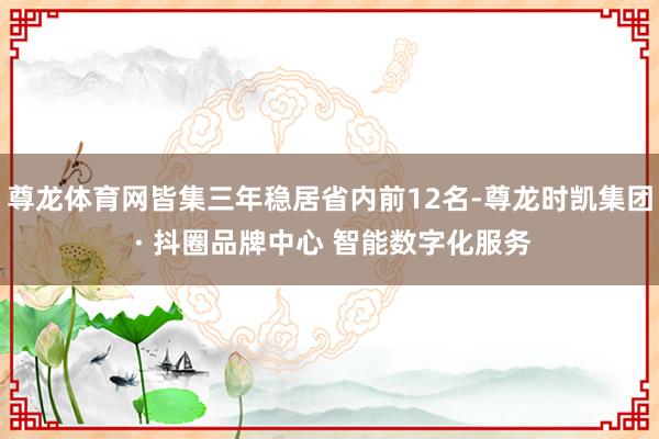 尊龙体育网皆集三年稳居省内前12名-尊龙时凯集团 · 抖圈品牌中心 智能数字化服务