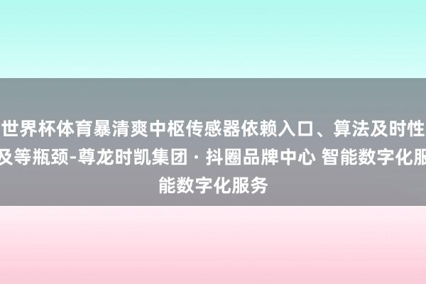 世界杯体育暴清爽中枢传感器依赖入口、算法及时性不及等瓶颈-尊龙时凯集团 · 抖圈品牌中心 智能数字化服务