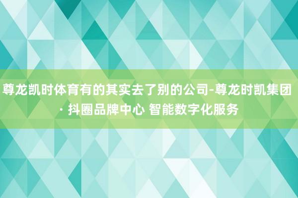 尊龙凯时体育有的其实去了别的公司-尊龙时凯集团 · 抖圈品牌中心 智能数字化服务