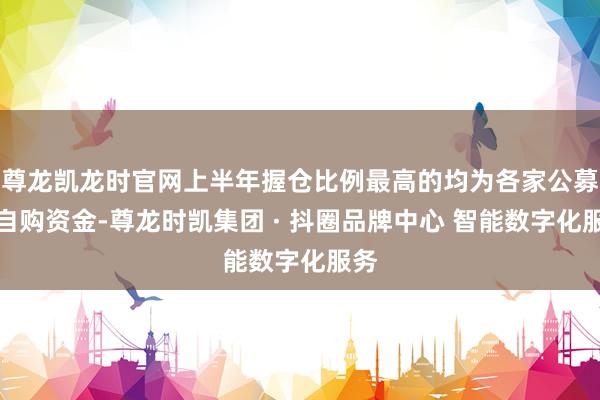 尊龙凯龙时官网上半年握仓比例最高的均为各家公募的自购资金-尊龙时凯集团 · 抖圈品牌中心 智能数字化服务