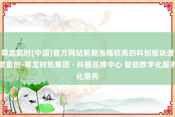 尊龙凯时(中国)官方网站前期涨幅较高的科创板块遭受重创-尊龙时凯集团 · 抖圈品牌中心 智能数字化服务