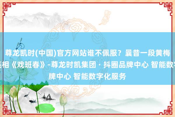尊龙凯时(中国)官方网站谁不佩服？曩昔一段黄梅戏惊艳亮相《戏班春》-尊龙时凯集团 · 抖圈品牌中心 智能数字化服务