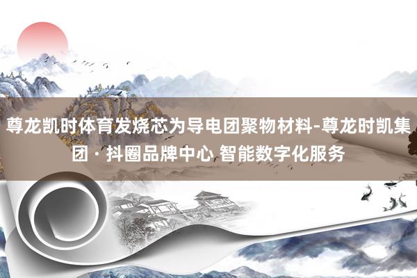 尊龙凯时体育发烧芯为导电团聚物材料-尊龙时凯集团 · 抖圈品牌中心 智能数字化服务