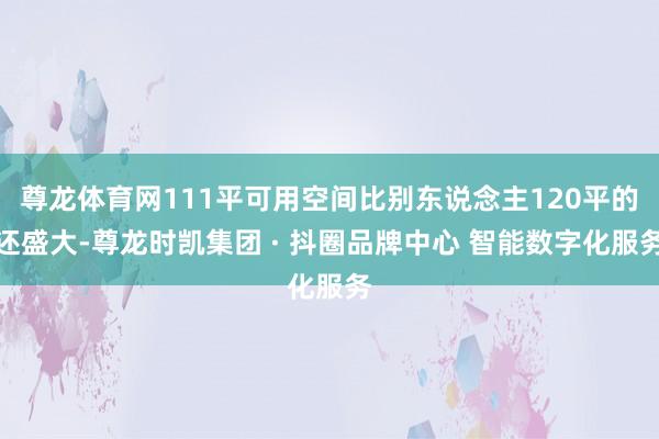 尊龙体育网111平可用空间比别东说念主120平的还盛大-尊龙时凯集团 · 抖圈品牌中心 智能数字化服务