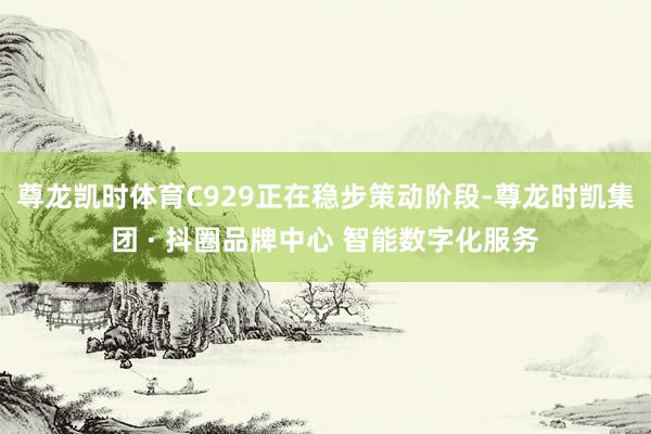 尊龙凯时体育C929正在稳步策动阶段-尊龙时凯集团 · 抖圈品牌中心 智能数字化服务