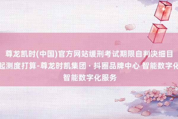 尊龙凯时(中国)官方网站缓刑考试期限自判决细目之日起测度打算-尊龙时凯集团 · 抖圈品牌中心 智能数字化服务