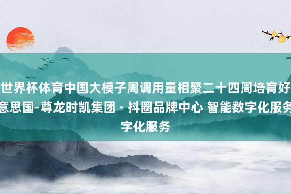 世界杯体育中国大模子周调用量相聚二十四周培育好意思国-尊龙时凯集团 · 抖圈品牌中心 智能数字化服务
