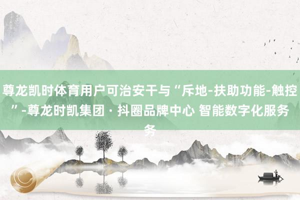 尊龙凯时体育用户可治安干与“斥地-扶助功能-触控”-尊龙时凯集团 · 抖圈品牌中心 智能数字化服务