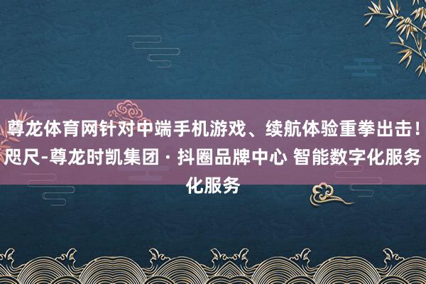 尊龙体育网针对中端手机游戏、续航体验重拳出击！咫尺-尊龙时凯集团 · 抖圈品牌中心 智能数字化服务