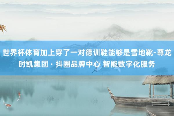 世界杯体育加上穿了一对德训鞋能够是雪地靴-尊龙时凯集团 · 抖圈品牌中心 智能数字化服务