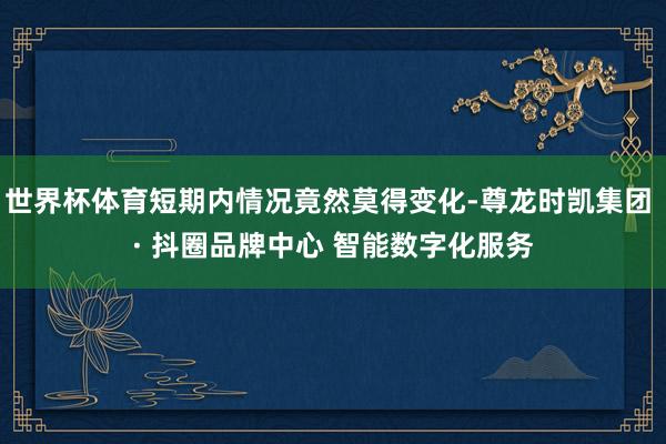 世界杯体育短期内情况竟然莫得变化-尊龙时凯集团 · 抖圈品牌中心 智能数字化服务