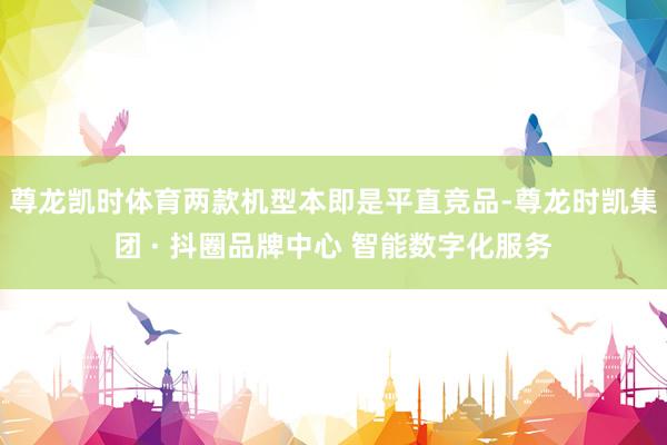 尊龙凯时体育两款机型本即是平直竞品-尊龙时凯集团 · 抖圈品牌中心 智能数字化服务
