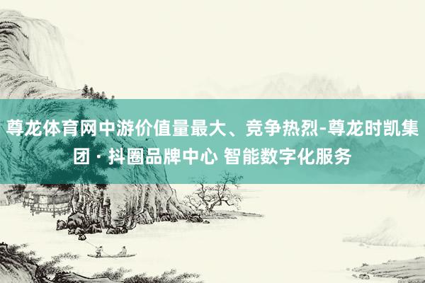 尊龙体育网中游价值量最大、竞争热烈-尊龙时凯集团 · 抖圈品牌中心 智能数字化服务